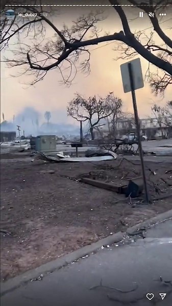 Maui's famous Banyan tree stands after being scorched by wildfires
