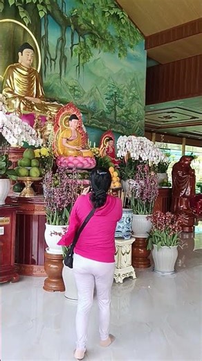 chùa Vạn Phước Bình Đại Bến Tre #suhuong