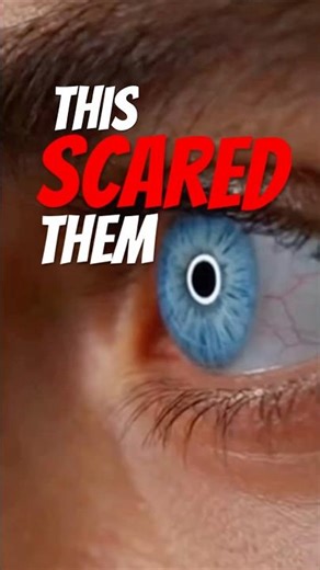 They Didn’t Lose Feelings