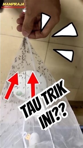 Panen Ribuan Nyamuk! Trik DIY Kipas Angin Ini Overpower 🤯