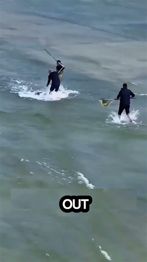 They All Jumped In To Catch It… The Fish Won Every Single Time #shorts #mindblowing
