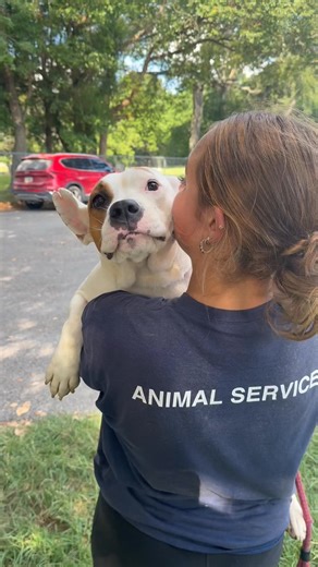 51K views · 1.8K reactions | Poor sweet Monica getting a break from...