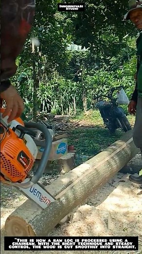 Professional Chainsaw Wood Milling Process