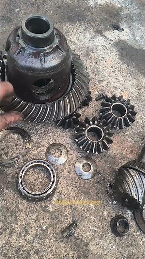 D20 Differential #radortavaresmecanico