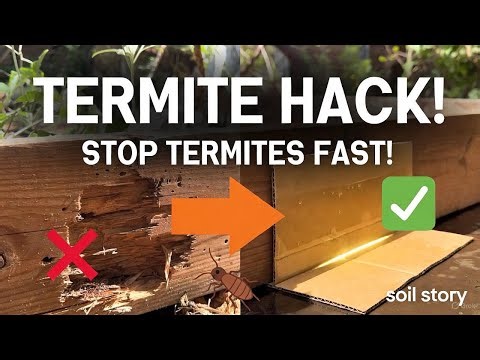 The Cardboard Trick That Pulls Termites Out of Your Garden Instantly