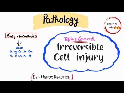 Irreversible cell Injury | General Pathology | Medox reaction