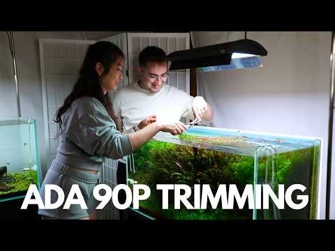 How We Trim Stem Plants in an ADA 90P Aquarium