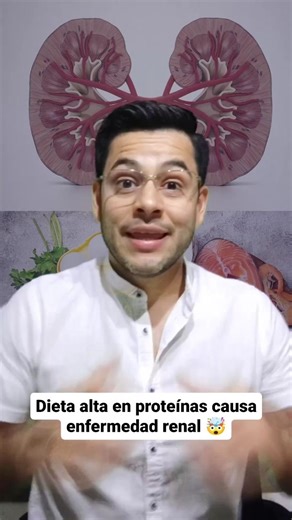 Una dieta alta en proteínas aumenta los desechos del metabolismo de las proteínas pero no necesariamente son las causantes de un problema renal. Las proteínas pueden ser utilizadas cómo energía al ser consumidas en exceso. #nutricionydietetica #nutriciondeportiva #nutriologo #musculacion #musculacionyfitness #entrenamiento #creatina #urea | Academia Para Nutriologos