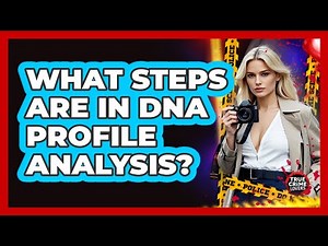What Steps Are In DNA Profile Analysis?