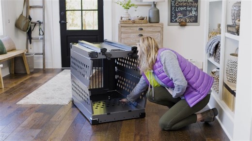 Watch K9 Kennel Boss Pop-up Metal dog crate -Tear down on Amazon Live