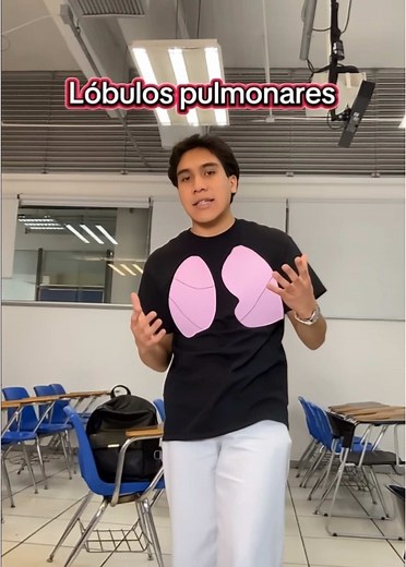 Conoce la anatomía de los pulmones y sus lóbulos