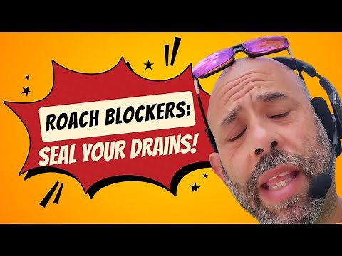 How to Prevent Roaches from Entering Your Home Expert Tips and Tricks