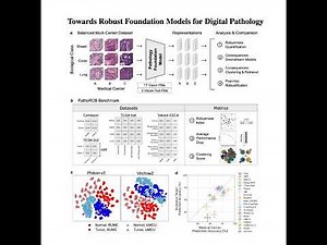 119-Towards Robust Foundation Models for Digital Pathology