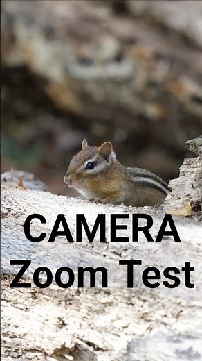 ZOOM TEST 28mm vs 200mm vs 200mm + 3X Digital Zoom (Tamron 28-200mm + a7C2 a7iv* FX2*) #cameratest