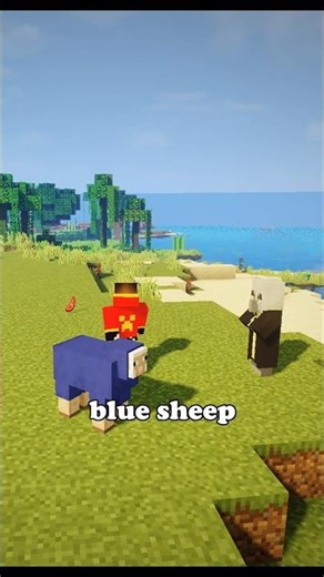 Wait… You Can Do THIS in Minecraft?! 😳