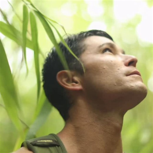 JJ YOSH | My journey to Kauai wasn’t a vacation it was more like the dying of my old self and the rebirth of my new self. A journey that has taken me... | Instagram