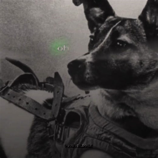 Laika and Félicette: The First Animals in Space