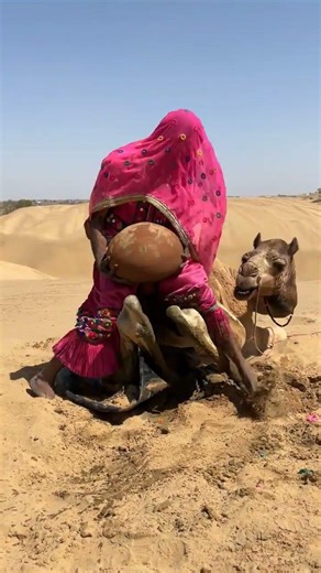 مشهد نادر لولادة صغير الجمل في الصحراء