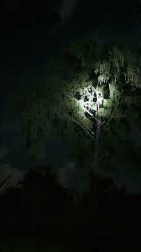 I live where it is 100% legal to shoot target load out of a shotgun.