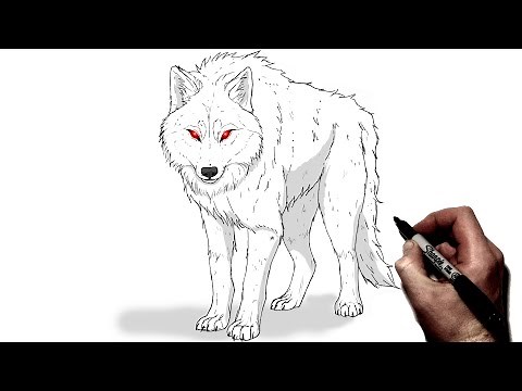 How To Draw A Dire Wolf | Step By Step