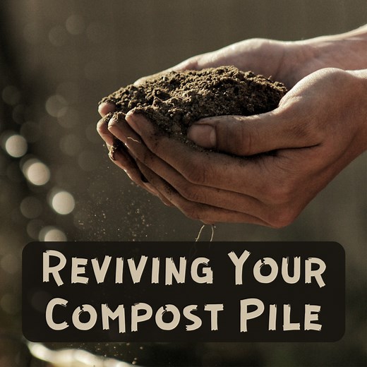 How to Revive and Restart an Old Compost Pile