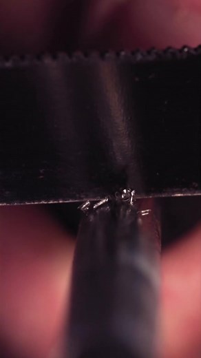 🤓🔥 #macro #slowmo