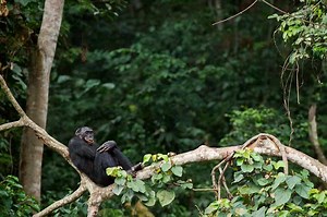 Best travel ideas and trips for 2025 - flydubai