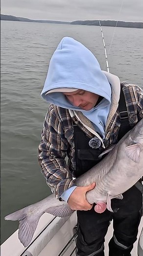 Winter Catfishing #fishing #catfish #fish #outdoors