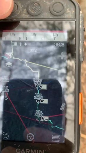 2.8K views · 42 reactions | This is the sound track we played at the end of the song. Dogs barking , hogs barking, Dogo’s arrive and pigs and dogs went everywhere through the water. Dogobreeders.com Isaiah 58:8 | Dogo Breeders - Circle S Kennels | Facebook