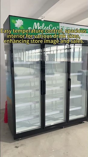 Vertical upward unit ordinary commercial beverage refrigeration display freezer