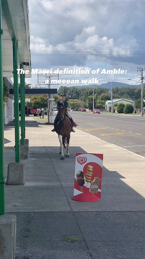 For all the whānau asking for a vid of the Amble - anei 🤙🏽 Dictionary definition of Amble: a slightly uneven lateral gait, with a non-isochronous 1–2, 3-4 sequence, while the singlefoot has an isochronous, even 1-2-3-4 rhythm. The stepping pace is faster than a running walk. Māori definition of Amble: A mean as walk ✊🏽 #aotearoa #horselife #horseriding | Miruwai Kora