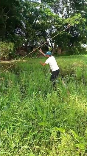 #amazingfishing #fishing