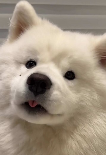 Creative Eye Makeup Tips for Beauty Marks