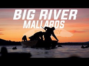 Hunting Mallards on BIG WATER (Public Land) Washington State