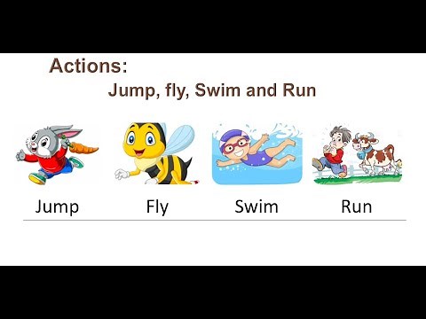 Actions: Jump, Fly, Swim and Run.