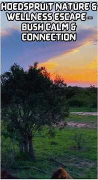 Discover Wellness Magic - Wild Serenity in Hoedspruit – The Ultimate Nature Escape #travel