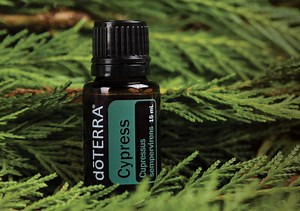 Aroma Welt │Copaiba - Kopaivaöl - Kopaiba ätherisches Öle