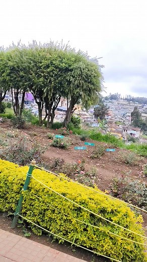 Jishacjisha Jisha on Reels