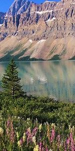 Bow Lake,Alberta-Canada. 🥰🥰 | World Landscapes