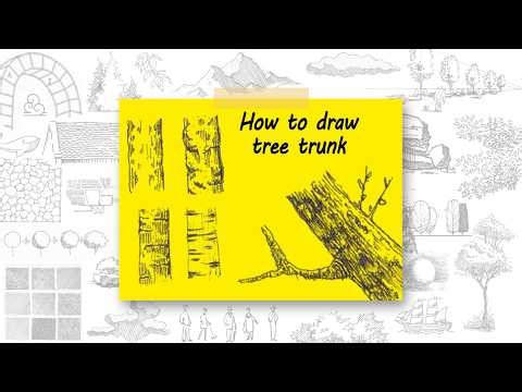Tree Trunk Sketch Tutorial