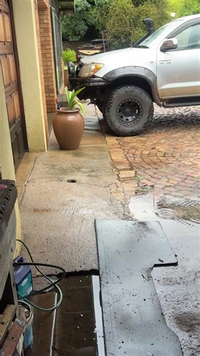 Innovative Ways to Call Your Dog Without Using Its Name