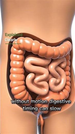 Movement Activates Digestive Motility,#GutMotility#MovementAndHealth#DigestiveHealth#HumanBiology