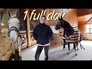 COZY BARN VLOG : horse vaccines, riding & daily barn chores!