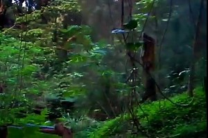 Russian space aliens UFO Alien Encounter Caught on Tape! Russia