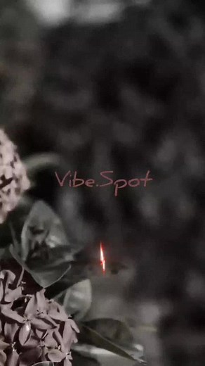 Masicka Time: Explore Dancehall Music Vibes