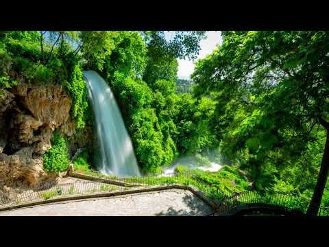 Χασαποσέρβικο-Σολίστες(Γιώργος Γκέσιος)