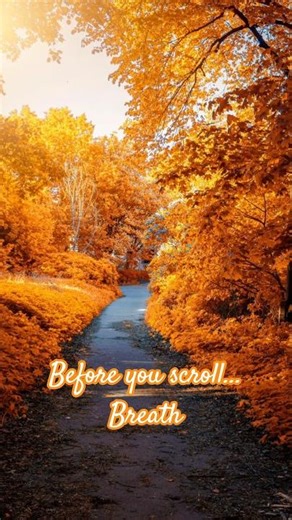 Autumn River Flow – Relaxing Nature Sounds