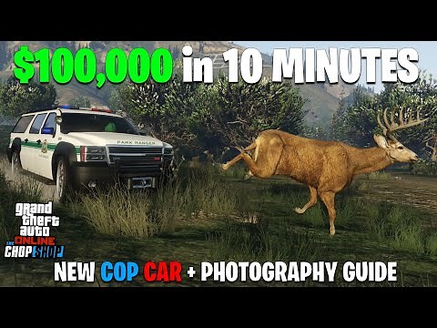 GTA Online WILDLIFE ANIMAL PHOTOGRAPHY Guide - Easy $100,000 EVERY DAY + Unlock New Park Ranger