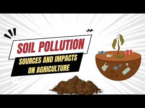 🌱 Soil Pollution: Causes & Agricultural Impact | How to Fix It? | Spring Scientific