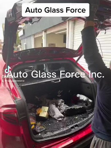 Auto Glass Force Inc. Provides car glass services, window tinting, Windshield re-calibration, Auto Aesthetics & Detailing, PPF Ceramic Coating for paint protection and shine, Uhaul, and Carshare available. www.autoglassforce.com #autoglassforce #windshield #calibration #ceramiccoating #windowtinting #haywardcalifornia #autoworks #recon #california #cars #freemarketeconomyforall #notomonopolysafelite